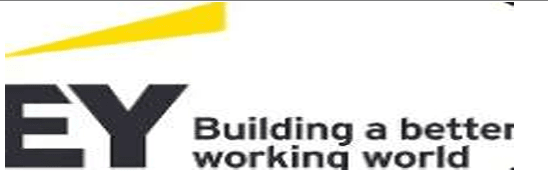 Logo ERNST & YOUNG (SA)
